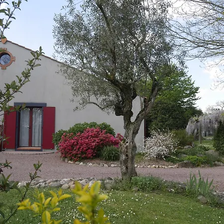 Oda ve Kahvaltı Esprit Zen 3*