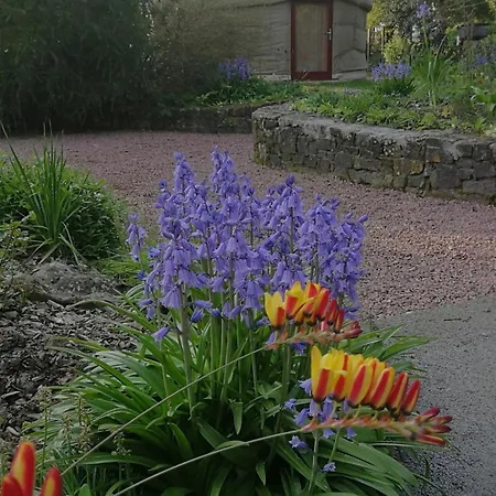 Oda ve Kahvaltı Esprit Zen LʼAiguillon-sur-Vie