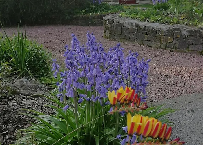 Bed & Breakfast Esprit Zen LʼAiguillon-sur-Vie